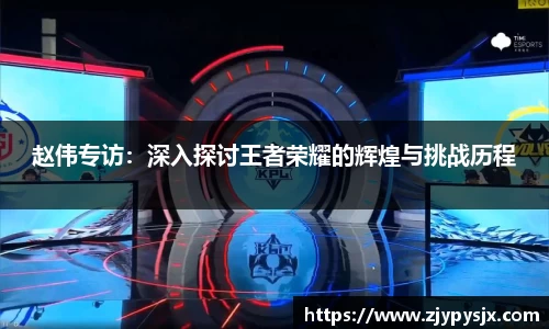 赵伟专访:深入探讨王者荣耀的辉煌与挑战历程